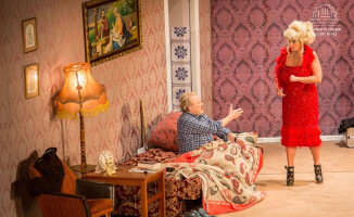 Kończy się Festiwal Teatralny "Teatr - pasja rodzinna" ZDJĘCIA