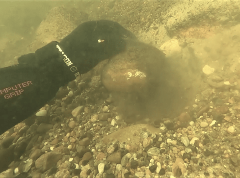 Kubek sprzed 2 tysięcy lat w Gwdzie - VIDEO  - grafika