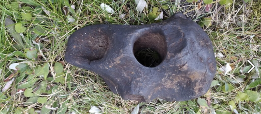 Motyka z poroża jelenia z epoki kamienia w Gwdzie