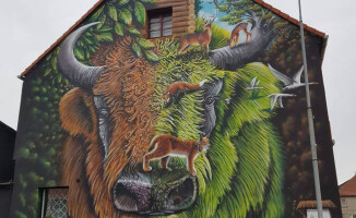Mural w Mirosławcu robi furorę