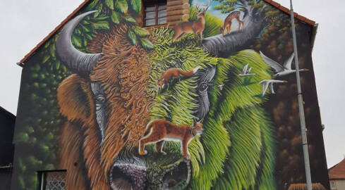 Mural w Mirosławcu robi furorę - grafika