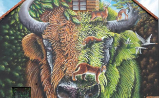 Mural w Mirosławcu robi furorę