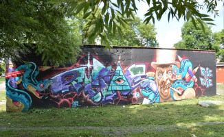 Podobają się wam murale tego pilskiego duetu? 