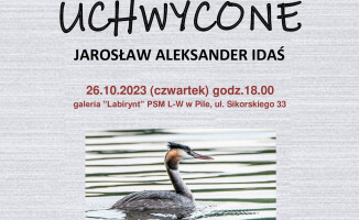 W obiektywie: Pierzaste z Doliny Noteci