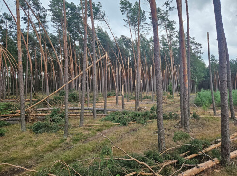 Spacer po Kuźniku odwołany - grafika