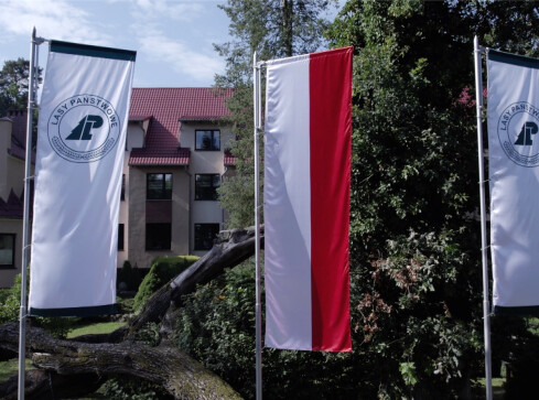 2 mln zł na organizacje społeczne. Trwa kontrola poselska w lasach  - grafika