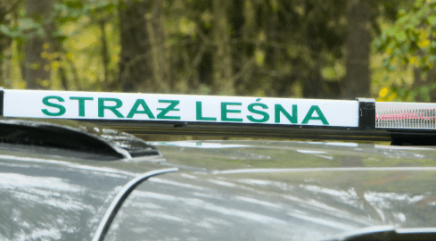 Fotopułapki na straży zasobów leśnych - grafika