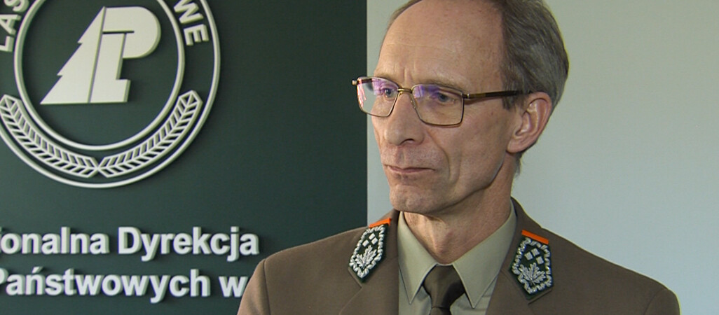 2 miliony zł pod lupą. Leśnicy złożą zawiadomienie do prokuratury?