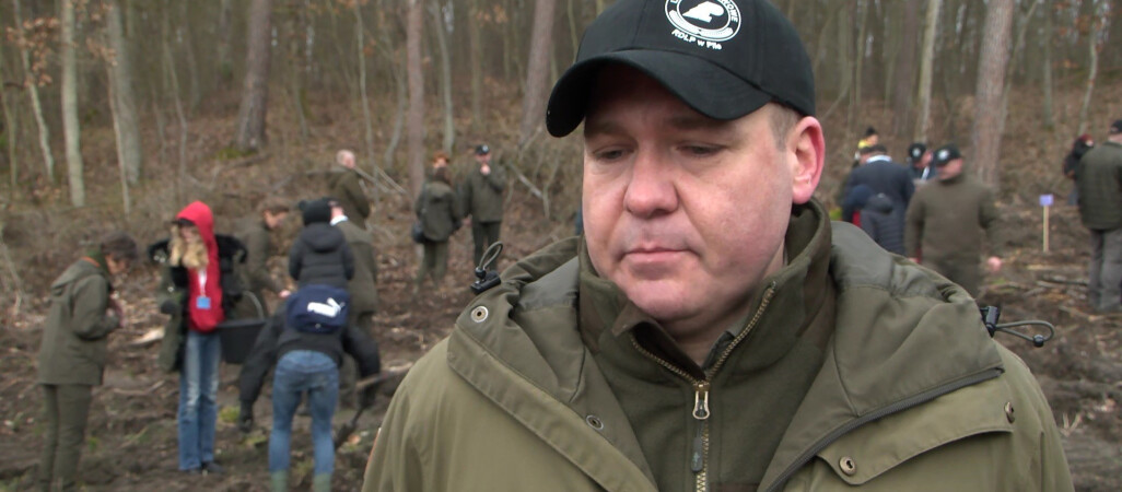 Dyrektor pilskich lasów odwołany ze stanowiska 
