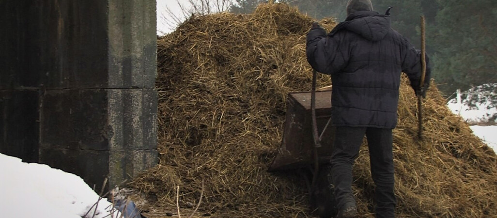 Czyszczą stajnię... za jedzenie. Brakuje im ciepłych ubrań
