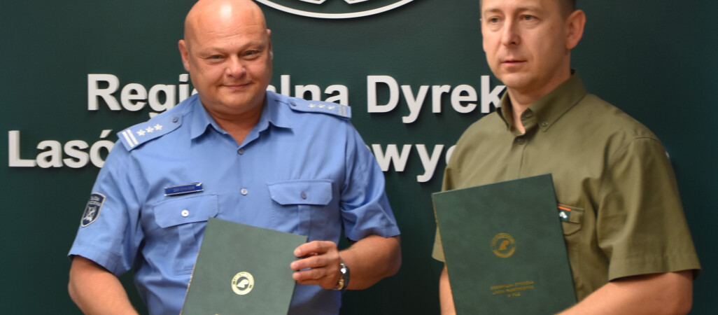 Więźniowie będą pracować w pilskich lasach 