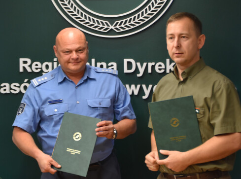 Więźniowie będą pracować w pilskich lasach  - grafika