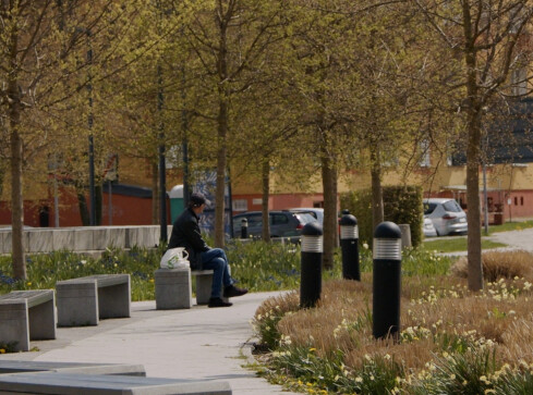 Seniorze, czujesz samotność? Zadzwoń - grafika