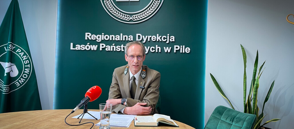 Prokuratura nie widzi przestępstwa. Lasy będą się odwoływać