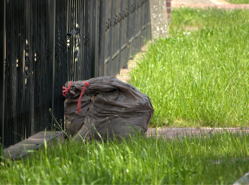 Co z tymi śmieciami? - grafika