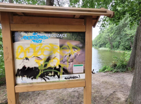 Burmistrz Chodzieży wyznacza nagrodę za wskazanie wandala  - grafika