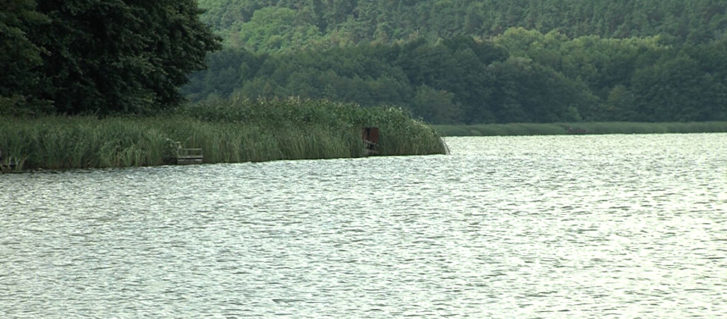 Jezioro Miejskie się dusi