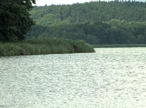 Jezioro Miejskie się dusi  - grafika