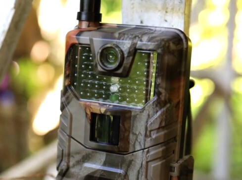 A jednak. W Chodzieży powstał monitoring  - grafika