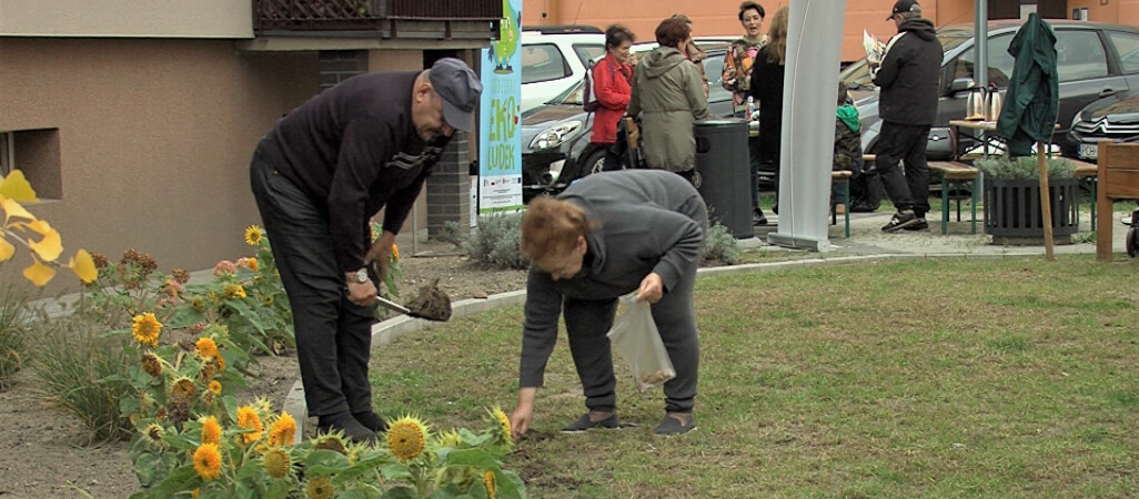 Jesienne porządki w chodzieskim “Żegródku” - VIDEO 