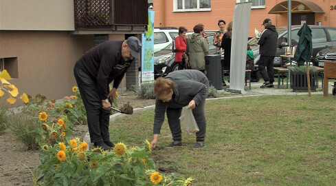 Jesienne porządki w chodzieskim “Żegródku” - VIDEO  - grafika