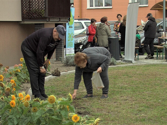 Jesienne porządki w chodzieskim “Żegródku” - VIDEO  - grafika