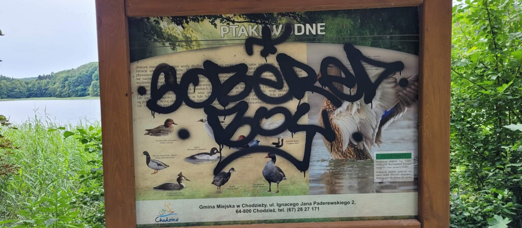 12-latek zatrzymany za wandalizm. Pomogła nagroda