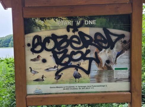 12-latek zatrzymany za wandalizm. Pomogła nagroda  - grafika