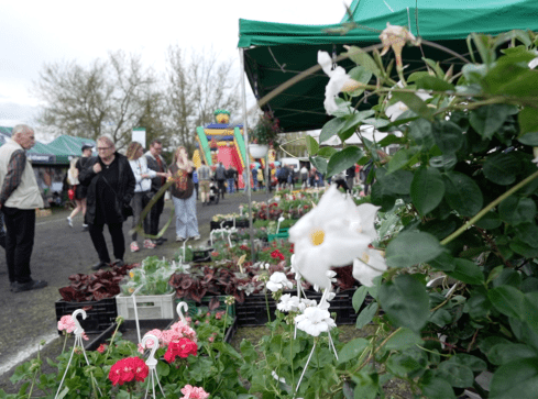 Kuchnia regionalna i maszyny rolnicze na Agro Targach - grafika