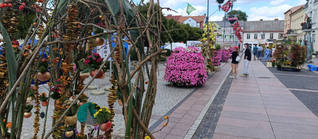 Festiwal florystyczny w Czarnkowie za nami