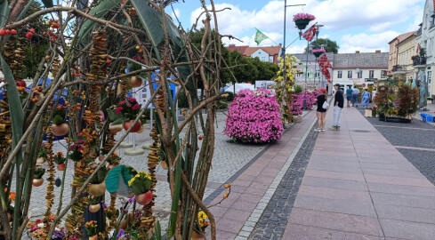 Festiwal florystyczny w Czarnkowie za nami - grafika