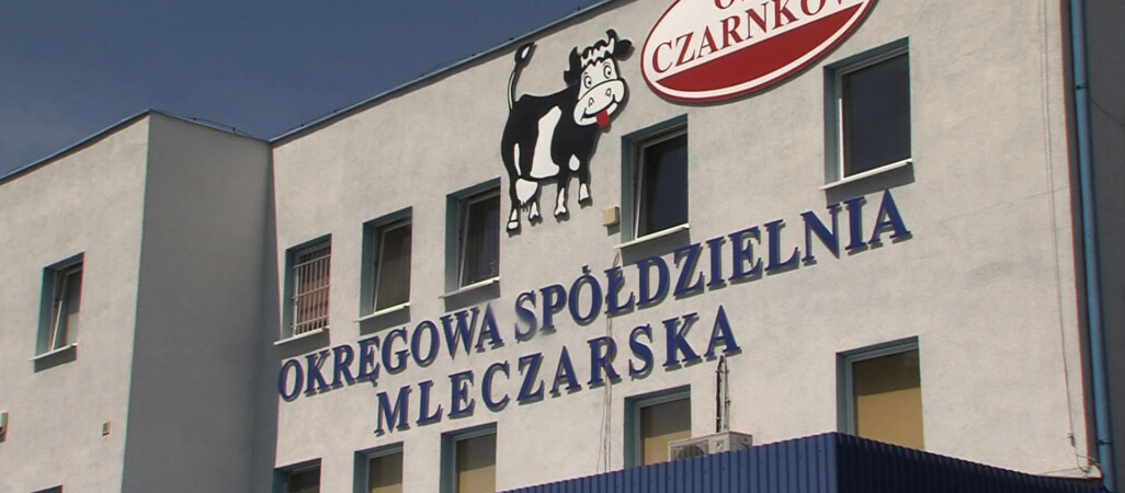 Okręgowa Spółdzielnia Mleczarska w Czarnkowie z nowym - starym prezesem 