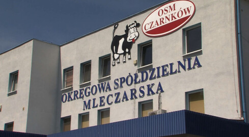 Okręgowa Spółdzielnia Mleczarska w Czarnkowie z nowym - starym prez - grafika