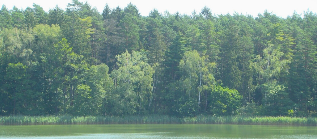 Znaleziono ciało zaginionego 23-latka