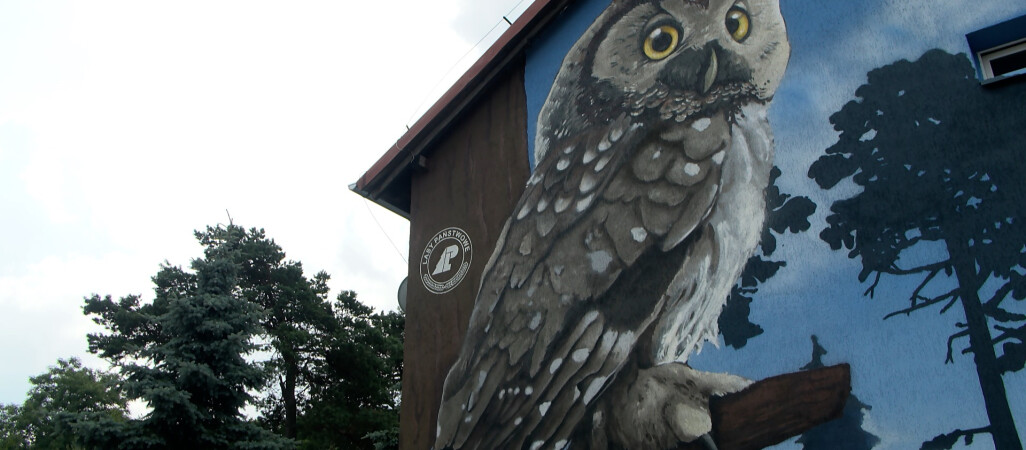 Leśny mural w Jastrowiu