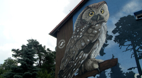 Leśny mural w Jastrowiu - grafika