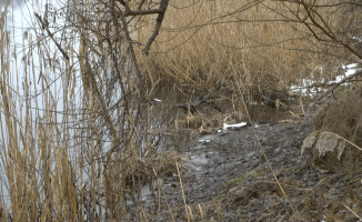 Strażacy wyłowili ciało z glinianek w Pile - ZDJĘCIA [AKTUALIZACJA]
