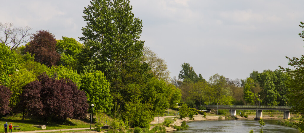 Skateplaza w Pile już za dwa lata