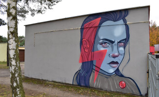 Murale na Górnym. Jeden zaangażowany społecznie - ZDJĘCIA 