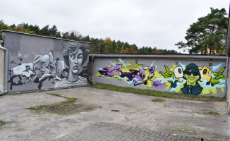 Murale na Górnym. Jeden zaangażowany społecznie - ZDJĘCIA 
