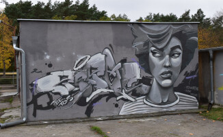 Murale na Górnym. Jeden zaangażowany społecznie - ZDJĘCIA 