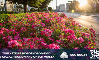 Budżet Piły na rok 2023