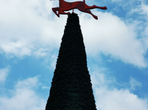 Pilska choinka w nowej odsłonie - grafika