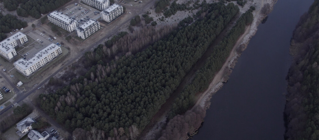 Piła buduje przedszkole. Pod topór miało pójść ponad 400 drzew