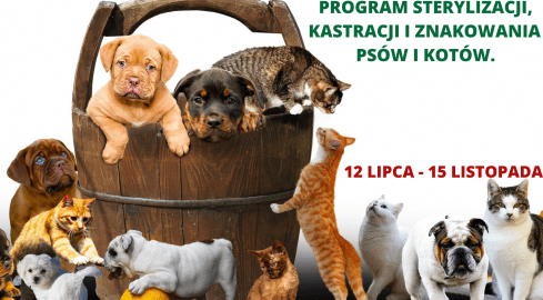 Dopłaty do kastracji, sterylizacji oraz znakowania psów i kotów. Od - grafika