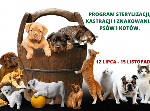 Dopłaty do kastracji, sterylizacji oraz znakowania psów i kotów. Od - grafika