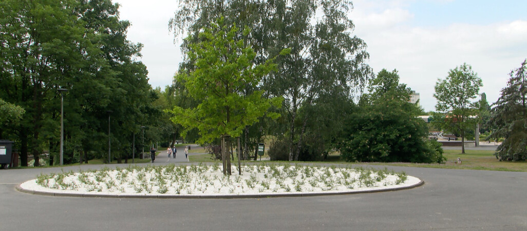 Ładne kwiatki, drogie kwiatki?