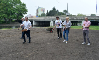 Kolejna kwietna łąka wysiana w centrum Piły 