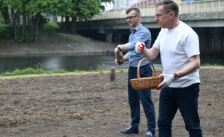 Kolejna kwietna łąka wysiana w centrum Piły 