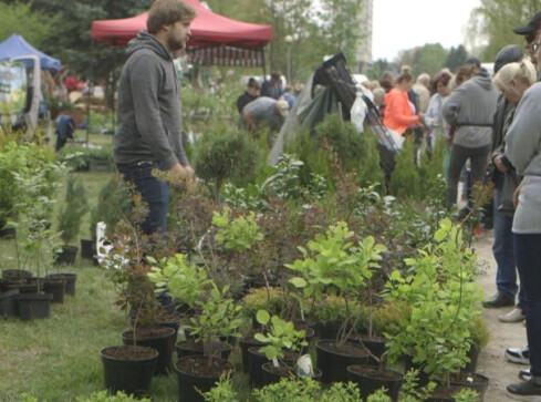 Krajowa Wystawa Miasto Ogród już w ten weekend - grafika